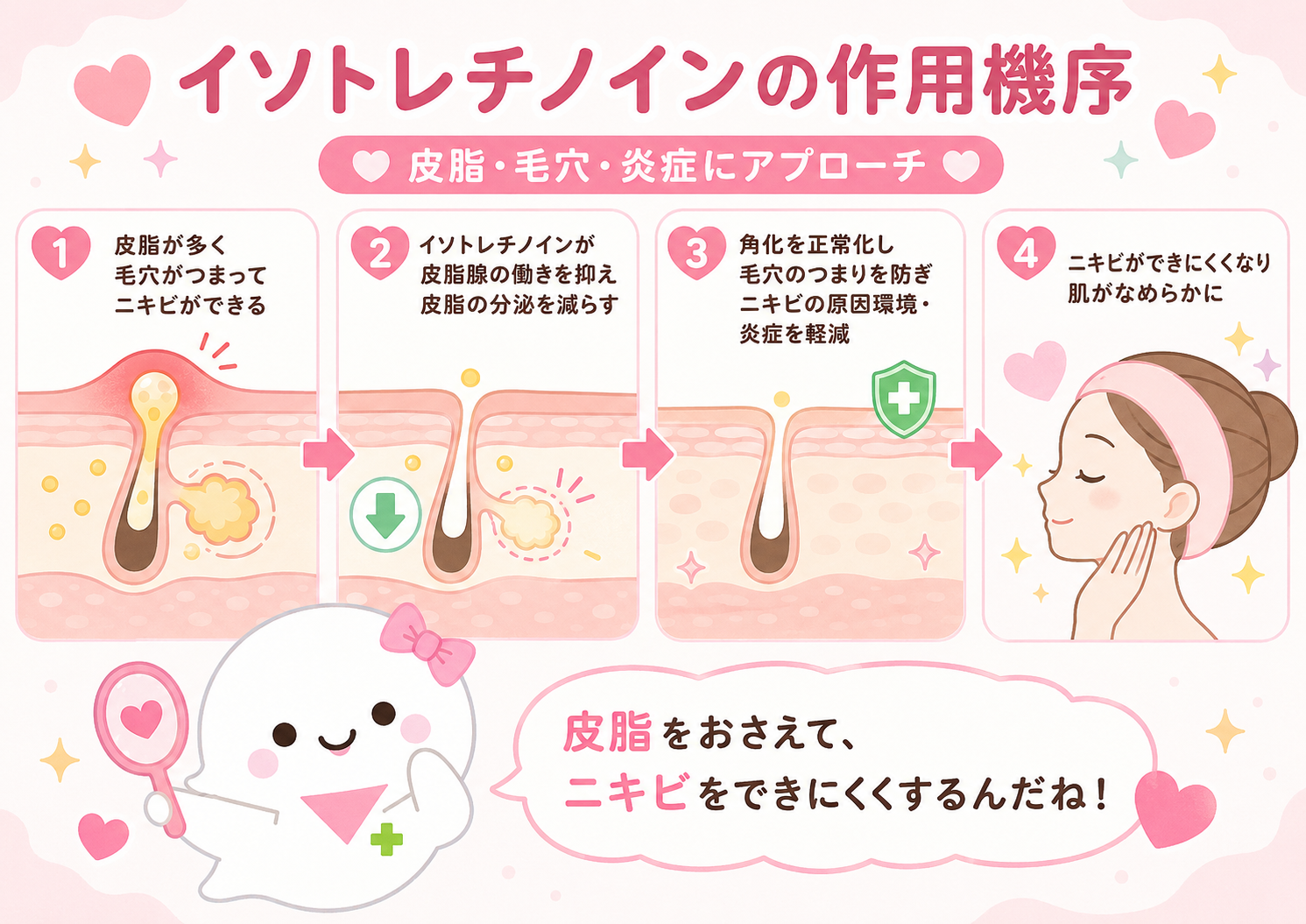 イソトレチノインの作用機序。皮脂腺を小さくして皮脂を減らす